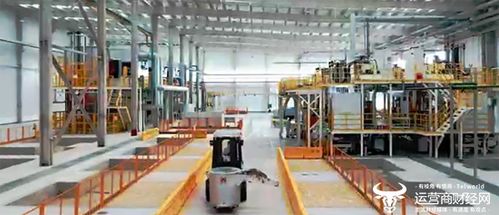 聰明的車駛上智慧的路 湖北移動賦能5G全連接汽車工廠，開啟智能車飾新篇章